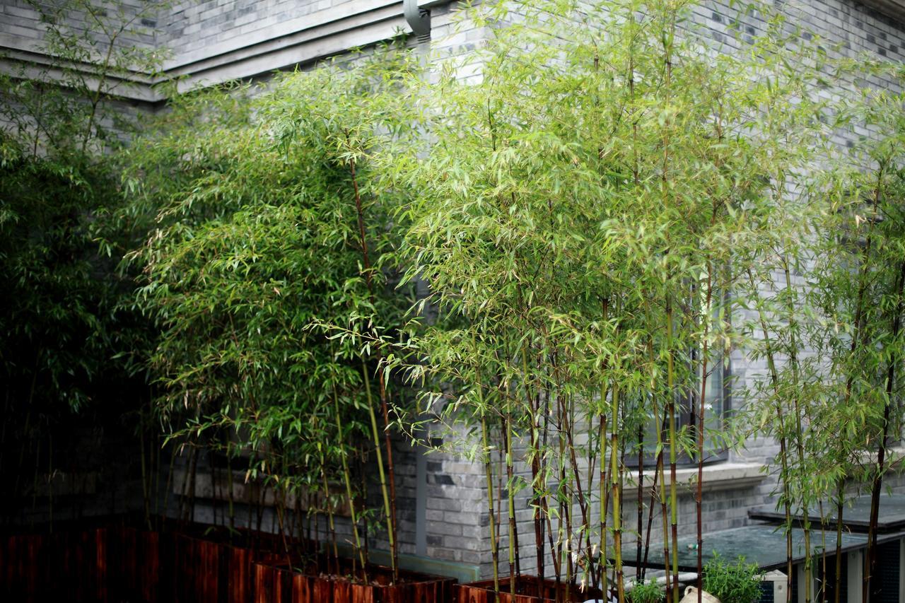 Study Resort Ningbo Exterior foto